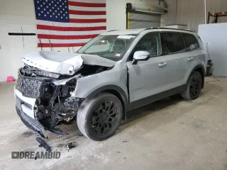 2021 Kia Telluride EX с VIN 5XYP3DHC9MG169106, выставлен на аукционе Copart как лот 56131155 с пробегом 53 856 миль миль и Списание • Salvage title. История ставок и продаж доступна на DreamBid. Изображение 1.