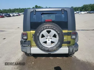 2010 Jeep Wrangler Sahara with VIN 1J4AA5D16AL203910, listed as a Copart auction lot 62891315 with 124,337 mi miles and Salvage title. Bid and sale history available at DreamBid. Image 6.