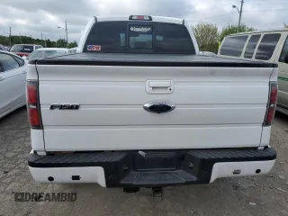 2013 Ford F-150 XL with VIN 1FTFW1ET3DFA65655, listed as a Copart auction lot 54787475 with 174,256 mi miles and Salvage title. Bid and sale history available at DreamBid. Image 6.