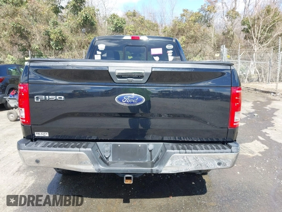 2016 Ford F-150 XLT with VIN 1FTEX1EP5GFD59851, listed as a IAAI auction lot 41719426 with 198,490 mi miles. Bid and sale history available at carsss.com. Image 16.
