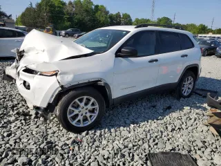 2016 Jeep Cherokee Sport with VIN 1C4PJMAB0GW286149, listed as a Copart auction lot 55111165 with Not provided miles and Salvage title. Bid and sale history available at DreamBid. Image 1.