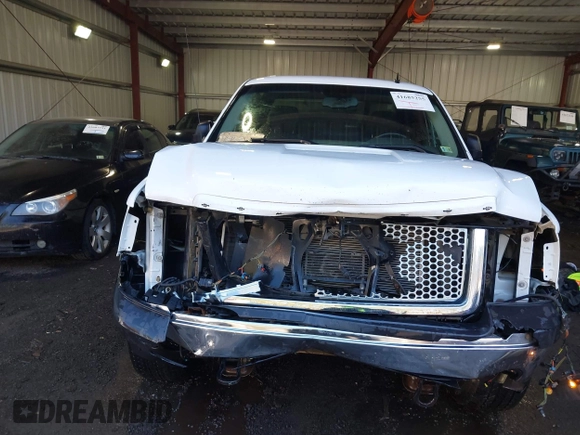 2009 GMC Sierra 1500 SLE with VIN 1GTEK29J19Z289356, listed as a IAAI auction lot 41685255 with 263,314 mi miles. Bid and sale history available at carsss.com. Image 6.