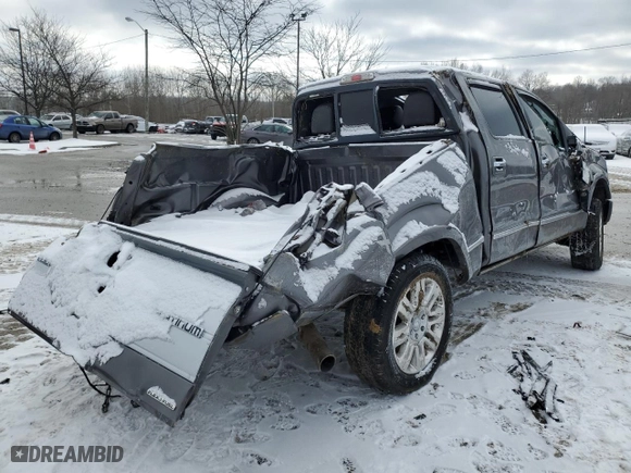 2013 Ford F-150 XL with VIN 1FTFW1EF7DFA73929, listed as a Copart auction lot 45866195 with 0 mi miles and Salvage Title. Bid and sale history available at carsss.com. Image 3.