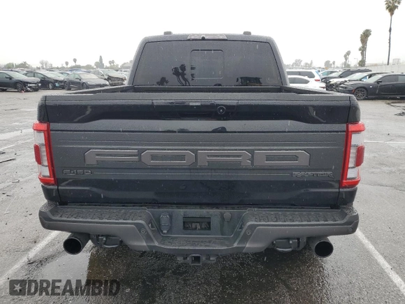 2023 Ford F-150 Raptor with VIN 1FTFW1RG6PFA01658, listed as a Copart auction lot 47601275 with 40,440 mi miles and Salvage Title. Bid and sale history available at DreamBid. Image 6.