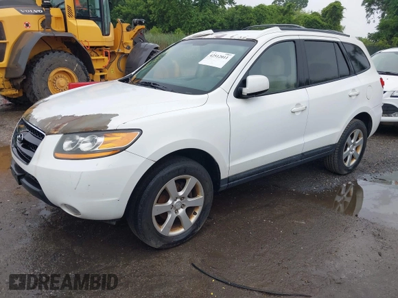 2009 Hyundai Santa Fe SE z VIN 5NMSH13E99H308912, wystawiony jako IAAI lot #42512011 z przebiegiem 231 808 mil mil oraz . Historia ofert i sprzedaży dostępna na DreamBid. Obrazek 2.