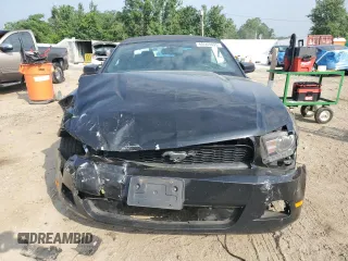 2011 Ford Mustang V6 with VIN 1ZVBP8EMXB5143569, listed as a Copart auction lot 60563695 with 233,975 mi miles and Salvage title. Bid and sale history available at DreamBid. Image 5.