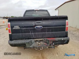 2010 Ford F-150 XL with VIN 1FTEX1CW9AKC19892, listed as a Copart auction lot 63343325 with 164,158 mi miles and Salvage title. Bid and sale history available at DreamBid. Image 6.