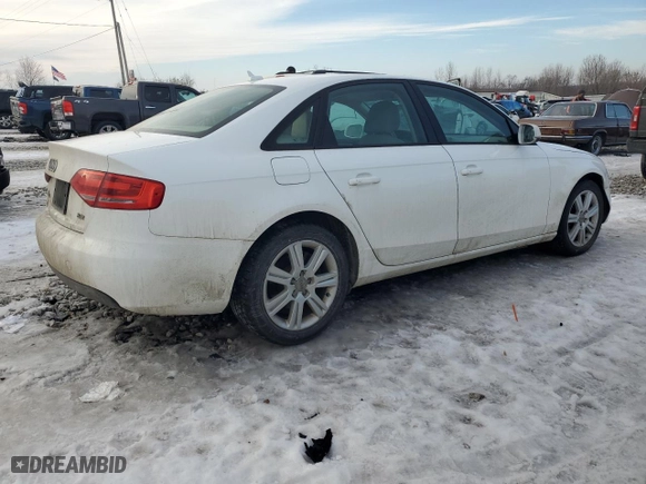 2010 Audi A4 2.0T Premium with VIN WAUAFAFL5AN026962, listed as a Copart auction lot 43052595 with 0 mi miles and Clean Title. Bid and sale history available at carsss.com. Image 3.