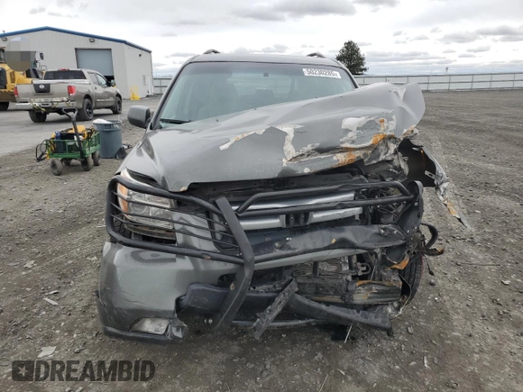 2007 Honda Pilot EX with VIN 2HKYF18437H528420, listed as a Copart auction lot 50230285 with Not Provided miles and Salvage Title. Bid and sale history available at DreamBid. Image 5.