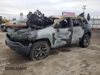 2019 Jeep Cherokee Trailhawk Elite with VIN 1C4PJMBX3KD425690, listed as a Copart auction lot 81963584 with 0 mi miles and Salvage Title. Bid and sale history available at carsss.com. Image 1.