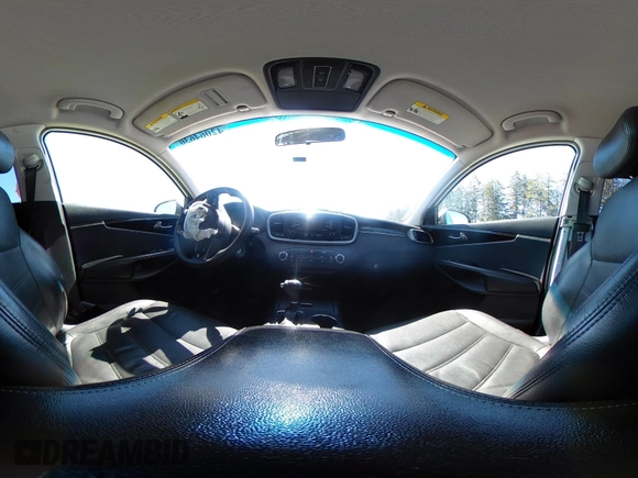 2016 Kia Sorento LX z VIN 5XYPGDA59GG025432, wystawiony jako IAAI lot #42064630 z przebiegiem 170 591 mil mil oraz . Historia ofert i sprzedaży dostępna na DreamBid. Obrazek 19.