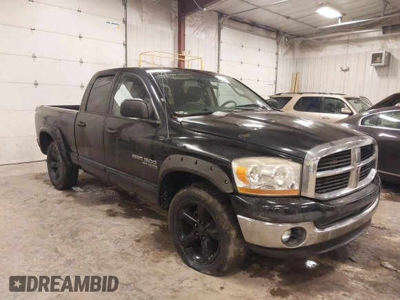 2006 Dodge 1500 SLT with VIN 1D7HU18N56S548849, listed as a IAAI auction lot 41480173 with Not Provided miles and . Bid and sale history available at DreamBid. Image 1.