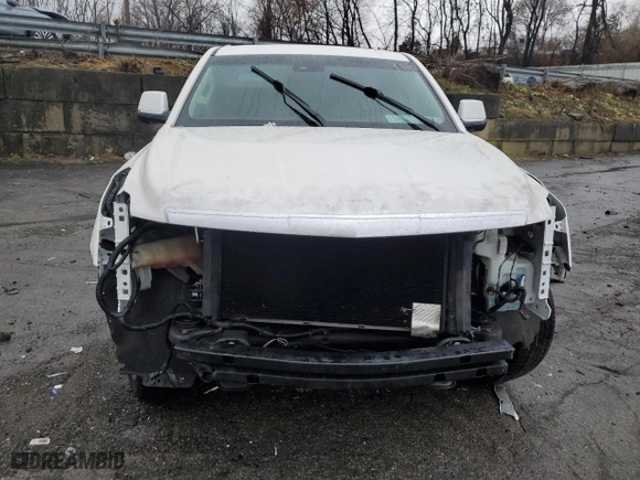 2019 Cadillac Escalade Luxury with VIN 1GYS4BKJ0KR213635, listed as a Copart auction lot 82604024 with 0 mi miles and Salvage Title. Bid and sale history available at carsss.com. Image 5.