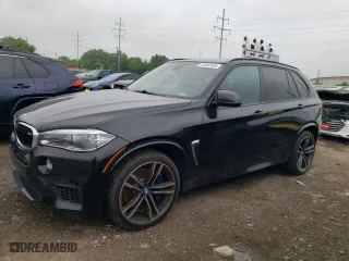 2016 BMW X5 M with VIN 5YMKT6C53G0R78343, listed as a Copart auction lot 53502584 with 123,914 mi miles. Bid and sale history available at carsss.com. Image 1.