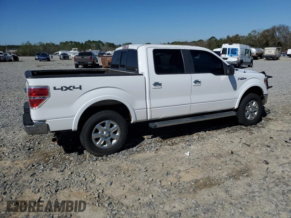 2013 Ford F-150 XL with VIN 1FTFW1EF6DFA35480, listed as a Copart auction lot 50307195 with 176,395 mi miles and Salvage Title. Bid and sale history available at carsss.com. Image 3.