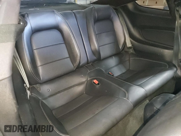 2018 Ford Mustang GT with VIN 1FA6P8CFXJ5106339, listed as a Copart auction lot 46749215 with 113,244 mi miles and Salvage Title. Bid and sale history available at DreamBid. Image 10.