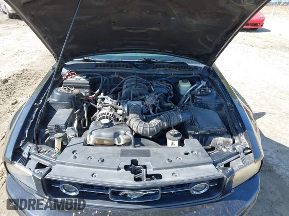2007 Ford Mustang Deluxe with VIN 1ZVFT84N475262622, listed as a IAAI auction lot 41928843 with 162,026 mi miles and . Bid and sale history available at DreamBid. Image 10.