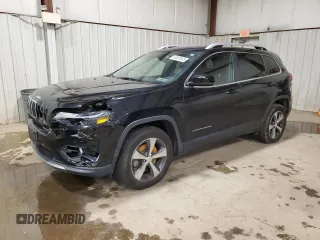 2019 Jeep Cherokee Limited with VIN 1C4PJMDX2KD451081, listed as a Copart auction lot 50602505 with 117,304 mi miles and Salvage Title. Bid and sale history available at carsss.com. Image 1.