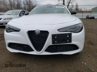 2019 Alfa Romeo Giulia with VIN ZARFANANXK7622362, listed as a Copart auction lot 46535223 with 28,946 mi miles. Bid and sale history available at carsss.com. Image 5.