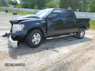 2014 Ford F-150 XL with VIN 1FTEW1CMXEKD50854, listed as a Copart auction lot 56365945 with 148,979 mi miles and Non repairable. Bid and sale history available at DreamBid. Image 1.