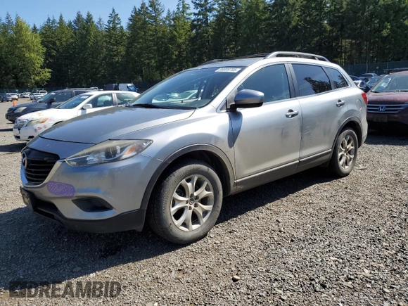 2013 Mazda CX-9 Touring with VIN JM3TB3CV5D0402304, listed as a Copart auction lot 58009705 with 110,247 mi miles and Salvage title. Bid and sale history available at DreamBid. Image 1.