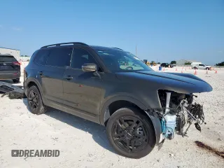 2024 Kia Telluride EX with VIN 5XYP3DGC6RG428871, listed as a Copart auction lot 60155385 with 28,189 mi miles and Salvage title. Bid and sale history available at DreamBid. Image 4.