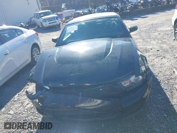 2011 Ford Mustang V6 with VIN 1ZVBP8EM7B5129385, listed as a IAAI auction lot 41208300 with 56,429 mi miles and . Bid and sale history available at DreamBid. Image 12.