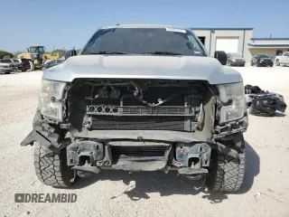 2016 Ford F-150 XLT with VIN 1FTEW1EG9GKD21971, listed as a Copart auction lot 49501915 with Not Provided miles and Salvage Title. Bid and sale history available at carsss.com. Image 5.