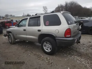 2002 Dodge Durango Sport with VIN 1B4HS38N22F104582, listed as a Copart auction lot 85916684 with 143,238 mi miles and Salvage Title. Bid and sale history available at carsss.com. Image 2.