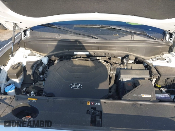 2020 Hyundai Palisade SEL z VIN KM8R44HE2LU168797, wystawiony jako IAAI lot #41871394 z przebiegiem 69 819 mil mil oraz . Historia ofert i sprzedaży dostępna na DreamBid. Obrazek 10.