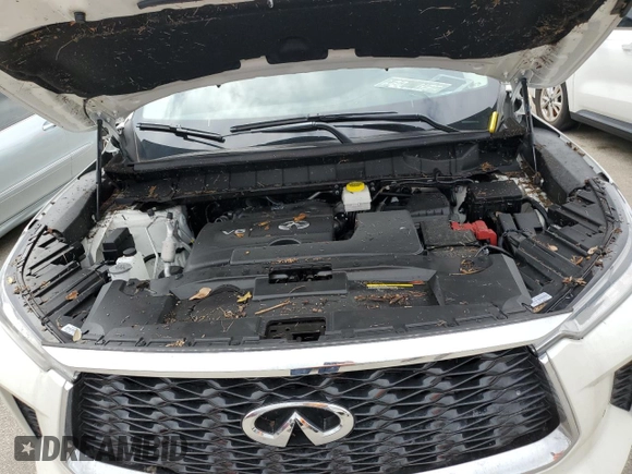 2024 Infiniti QX60 Luxe with VIN 5N1DL1FSXRC343025, listed as a Copart auction lot 74335204 with Not provided miles and Non repairable. Bid and sale history available at DreamBid. Image 12.
