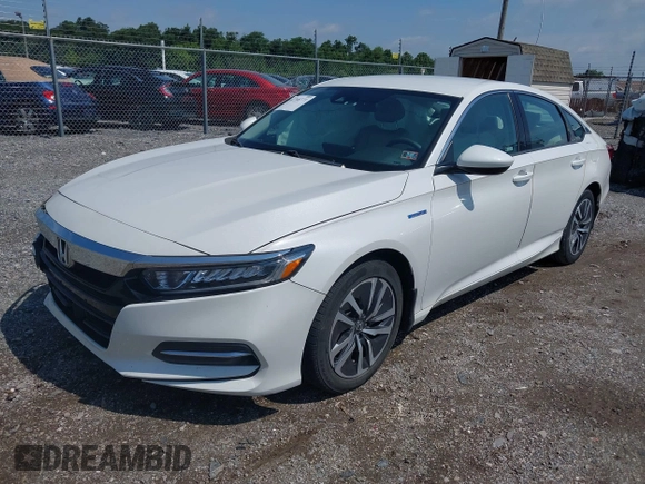 2019 Honda Accord with VIN 1HGCV3F10KA006296, listed as a IAAI auction lot 42768771 with 79,467 mi miles and . Bid and sale history available at DreamBid. Image 17.