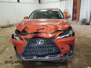 2023 Lexus NX with VIN 2T2GDCAZ3PC003990, listed as a Copart auction lot 78813924 with 6,282 mi miles and Clean Title. Bid and sale history available at carsss.com. Image 5.