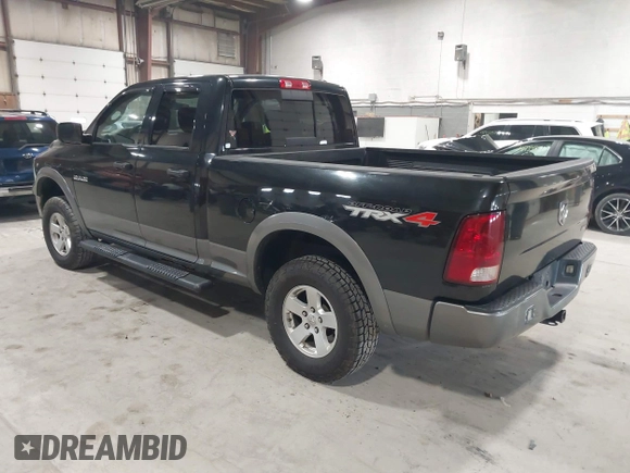 2010 Dodge 1500 SLT with VIN 1D7RV1GP9AS133739, listed as a IAAI auction lot 41935213 with 293,043 mi miles and . Bid and sale history available at DreamBid. Image 3.