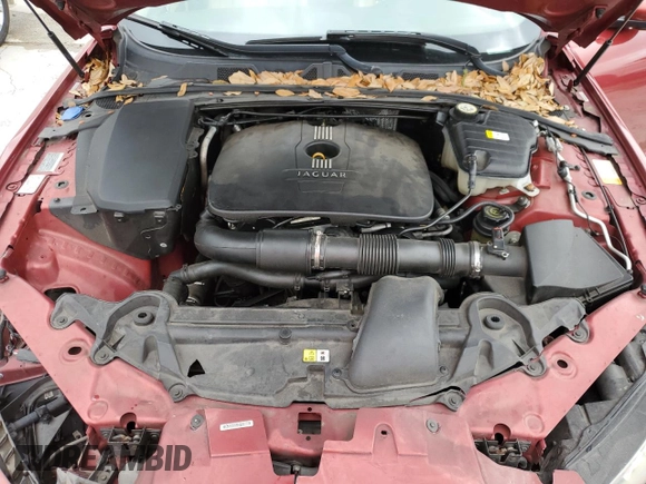 2013 Jaguar XF RWD with VIN SAJWA0ES4DPS99668, listed as a Copart auction lot 51239115 with Not Provided miles and Salvage Title. Bid and sale history available at DreamBid. Image 11.