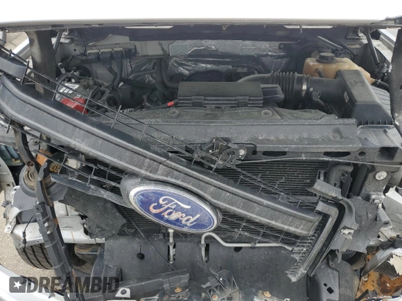 2013 Ford F-150 XL with VIN 1FTFX1EF8DFB65516, listed as a Copart auction lot 48166005 with 81,192 mi miles and Salvage Title. Bid and sale history available at carsss.com. Image 11.