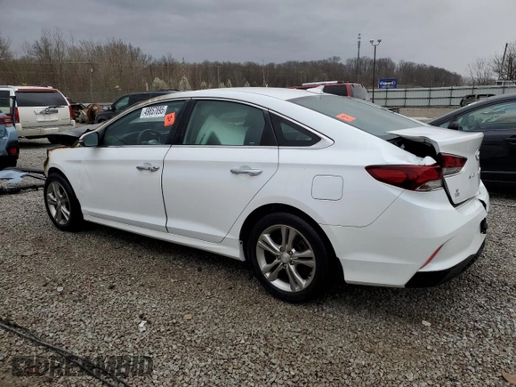 2019 Hyundai Sonata SEL with VIN 5NPE34AF1KH762699, listed as a Copart auction lot 49857895 with Not Provided miles and Non Repairable. Bid and sale history available at DreamBid. Image 2.