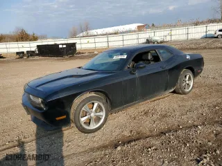 2013 Dodge Challenger Rallye Redline with VIN 2C3CDYAG0DH549098, listed as a Copart auction lot 48951325 with 162,988 mi miles and Clean Title. Bid and sale history available at carsss.com. Image 1.
