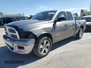 2010 Dodge 1500 SLT z VIN 1D7RB1GPXAS119955, wystawiony jako Copart lot #55665455 z przebiegiem 210 555 mil mil oraz Szkoda całkowita • Salvage title. Historia ofert i sprzedaży dostępna na DreamBid. Obrazek 1.