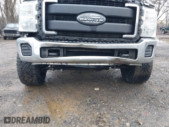 2012 Ford F-250 XL with VIN 1FT7W2BT1CEA61428, listed as a IAAI auction lot 41672658 with 285,956 mi miles and . Bid and sale history available at DreamBid. Image 19.