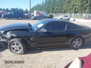 2013 Ford Mustang V6 with VIN 1ZVBP8AM3D5269846, listed as a IAAI auction lot 42460827 with 80,934 mi miles and . Bid and sale history available at DreamBid. Image 13.