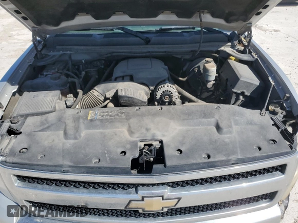 2010 Chevrolet Silverado 1500 LT with VIN 1GCSCSE04AZ186840, listed as a Copart auction lot 49849965 with 301,420 mi miles and Salvage Title. Bid and sale history available at DreamBid. Image 13.