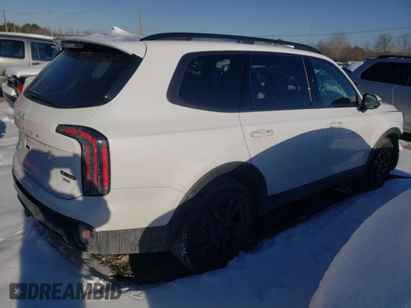 2024 Kia Telluride SX Prestige X-Line с VIN 5XYP5DGC3RG483384, выставлен на аукционе Copart как лот 41913045 с пробегом 13 462 миль миль и Списание • Salvage title. История ставок и продаж доступна на DreamBid. Изображение 3.