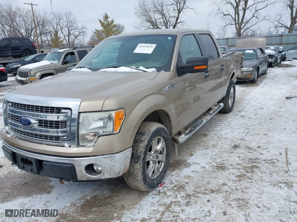 2013 Ford F-150 XL with VIN 1FTFW1EF0DFD66474, listed as a IAAI auction lot 41613819 with 130,585 mi miles. Bid and sale history available at carsss.com. Image 17.