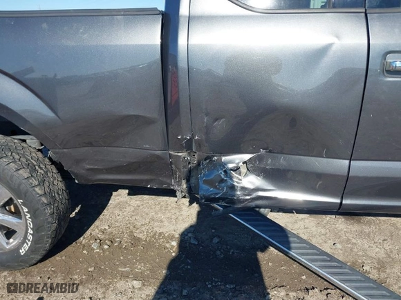 2018 Ford F-150 XL with VIN 1FTEX1EB9JFE69233, listed as a IAAI auction lot 41289248 with 167,102 mi miles. Bid and sale history available at carsss.com. Image 6.
