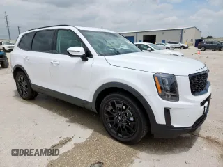 2022 Kia Telluride SX with VIN 5XYP5DHC2NG196482, listed as a Copart auction lot 59324935 with 17,850 mi miles and Clean title. Bid and sale history available at DreamBid. Image 4.