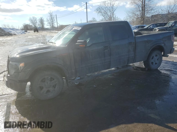 2013 Ford F-150 XL with VIN 1FTFW1CF2DFD07185, listed as a Copart auction lot 46261025 with 282,067 mi miles and Salvage Title. Bid and sale history available at carsss.com. Image 1.
