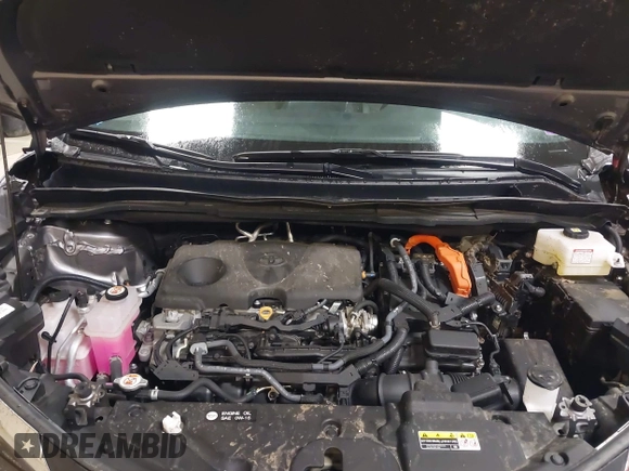 2023 Toyota Sienna XLE с VIN 5TDJSKFC0PS099650, выставлен на аукционе IAAI как лот 42324871 с пробегом 12 719 миль миль и . История ставок и продаж доступна на DreamBid. Изображение 10.