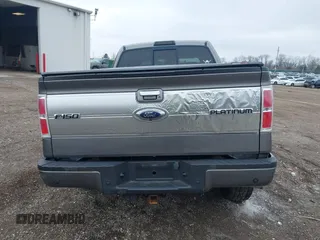 2009 Ford F-150 XL with VIN 1FTPW14V79FA66113, listed as a IAAI auction lot 42001923 with 168,612 mi miles and . Bid and sale history available at DreamBid. Image 17.