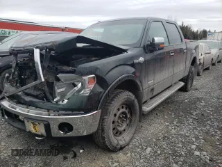 2013 Ford F-150 with VIN 2ATE01102DKD97632, listed as a Copart auction lot 49815235 with Not provided miles and Salvage title. Bid and sale history available at DreamBid. Image 1.